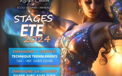 STAGES D’ETE EN JANVIER 2024