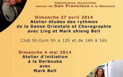 Stage danse et musique avec le duo HELM de San Francisco 2014