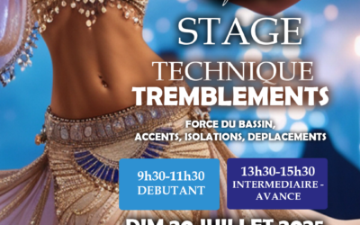 Stage Technique TREMBLEMENTS – Dimanche 20 Juillet 2025