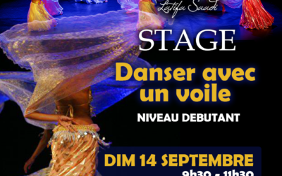 Stage Danser avec un Voile – Dim 14 Septembre 2025